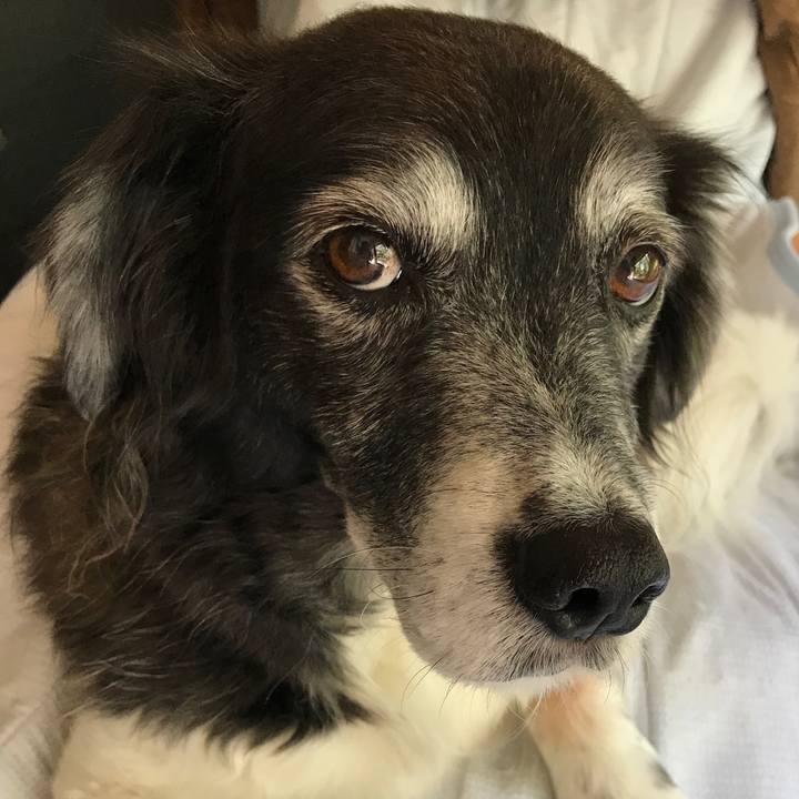 7affeb9d a1c5 4421 a65a d5d70bec09e0 1526300370994