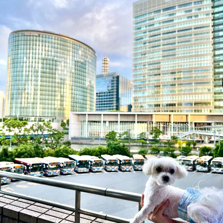 7afff49b baf2 4bdf 8ab0 65cfe886e1f8 1660730199681