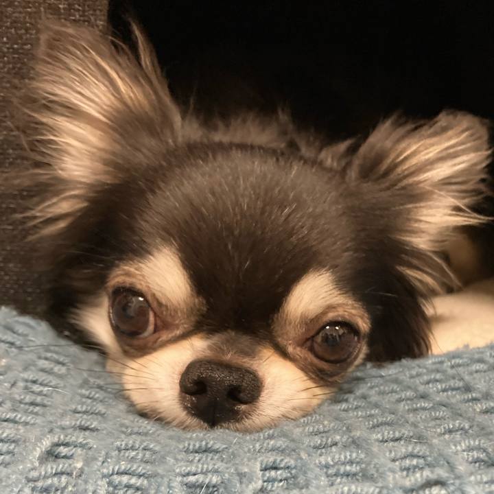 7b002218 ba28 483b a454 d91430d5585b 1660658181544