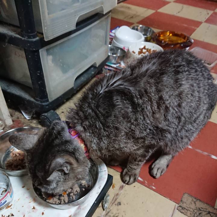 7b0037e4 cfff 4537 ae92 070f77e5c401 1595649711164