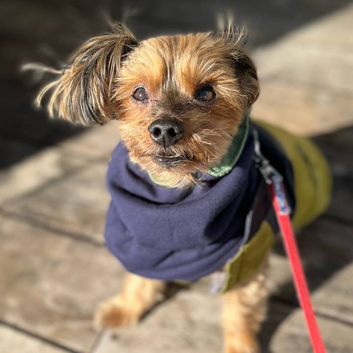 7b004e56 f23c 4ecb a7e4 3af49170a405 1640579342091