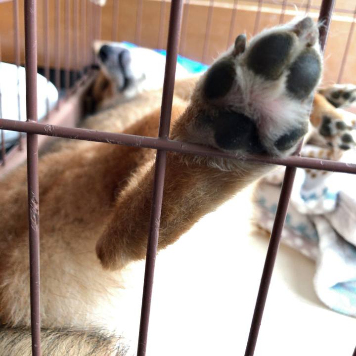 7b00ea40 889a 4ec7 a5f9 93de68040538 1528710891008