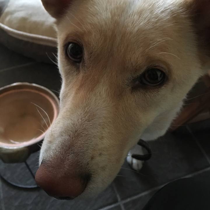 7b01017c 7a49 4883 859c c06be060c77e 1512165839883