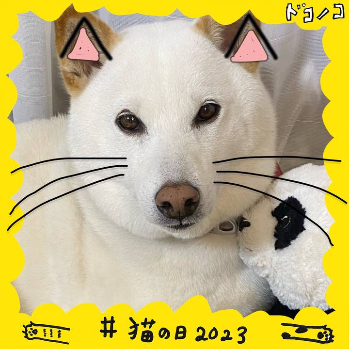 7b0101cf f228 4463 a4b0 2f56c3ab7886 1677062843727