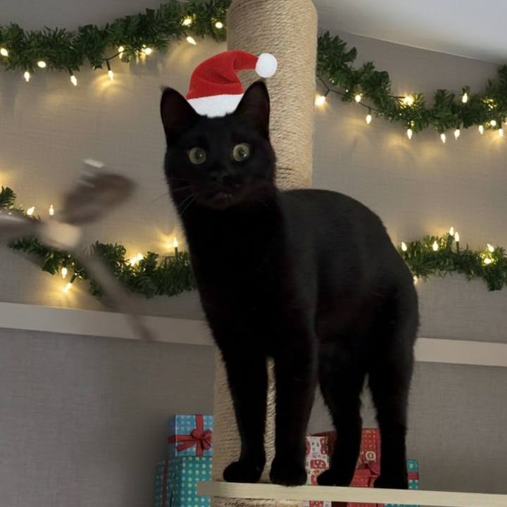 7b0110e5 9e06 4c6e 958d 9925f788f14b 1764481364738