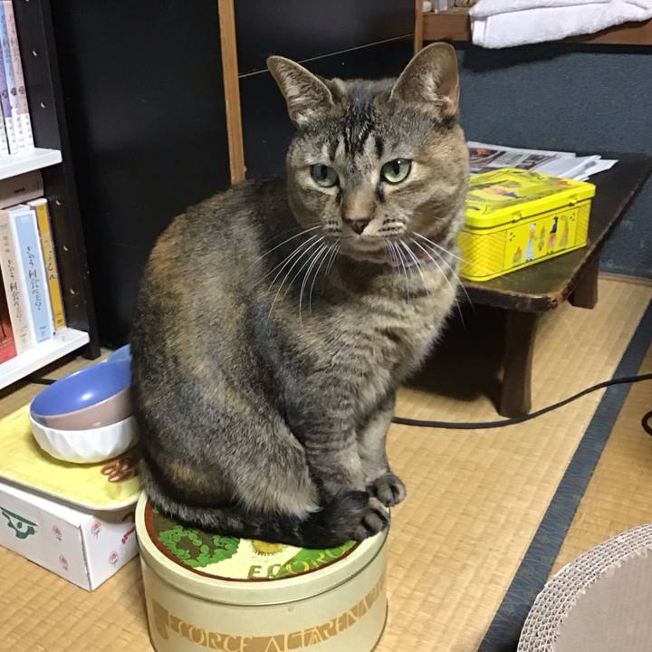 7b01736c 51d3 4b66 82cc 5d6c4369d4ba 1700734499773