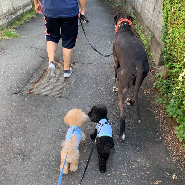 7b01c6ca 98d3 41e1 98ae 3a20810aac5e 1567310581347