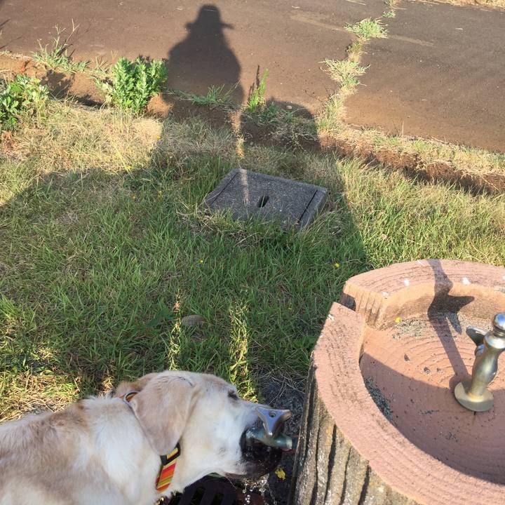 7b01d0fd 3ac0 4936 87a1 02273e33ec7f 1533431280958