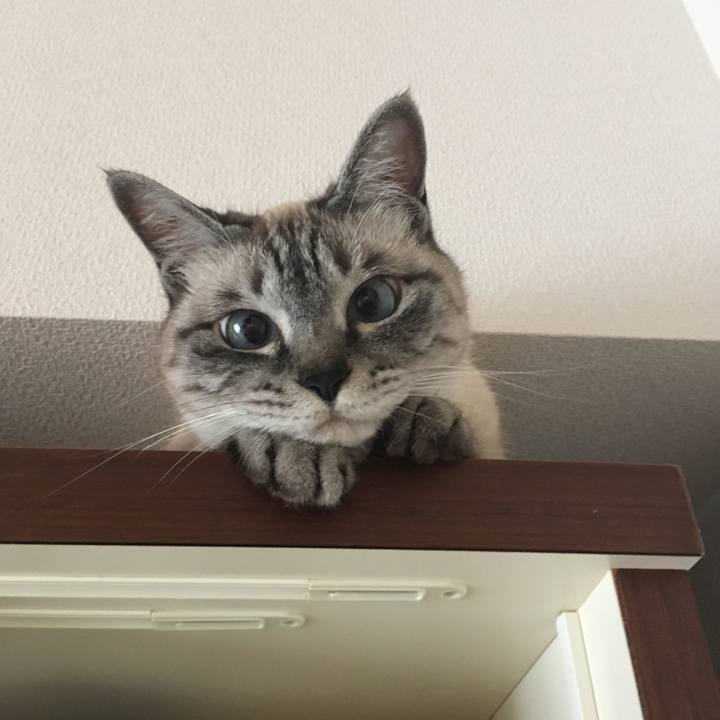 7b01da9c 5c5a 41b0 b657 a1f530295afe 1589587907039