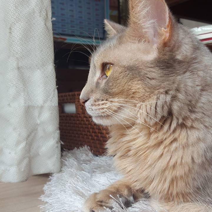 7b01ea59 91df 47f2 bd2c b9938a977804 1587521258261