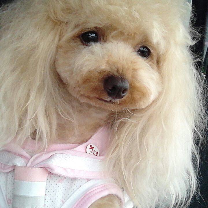 7b01f7fc 4bd0 4ea5 b4e9 c629d14c4311 1529235666214