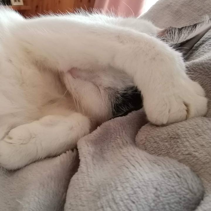 7b022b24 cc7f 46a1 897c 33a795038a65 1580618186515