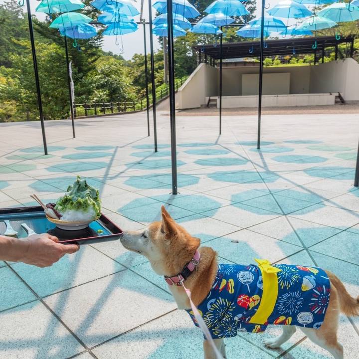 7b02601a b53e 4d94 a117 ddab78203f5f 1687096513300