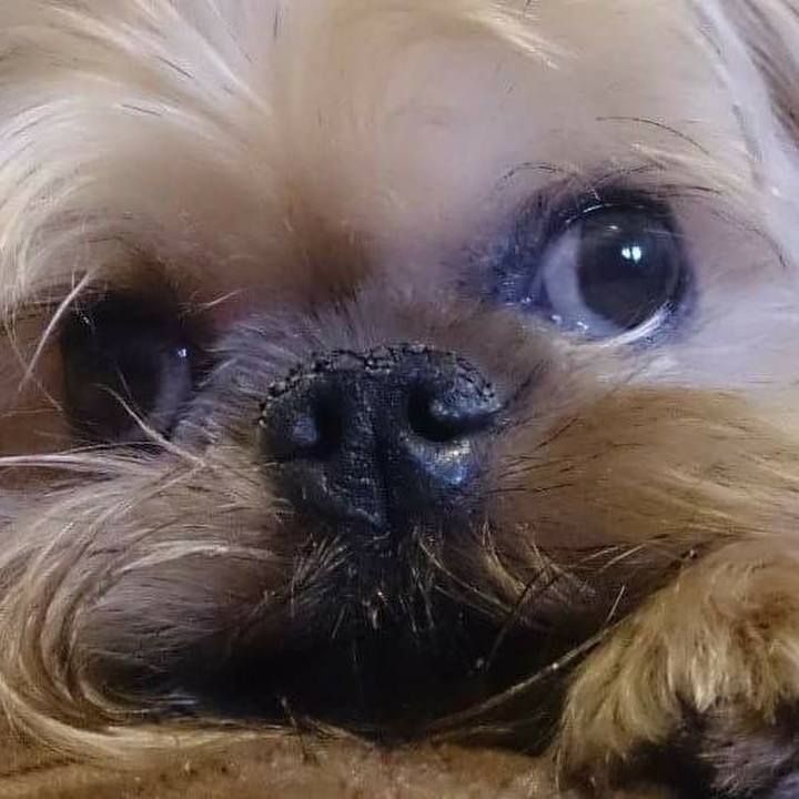 7b02ae90 49c1 432b 8587 21d71ae9a46a 1527760035364