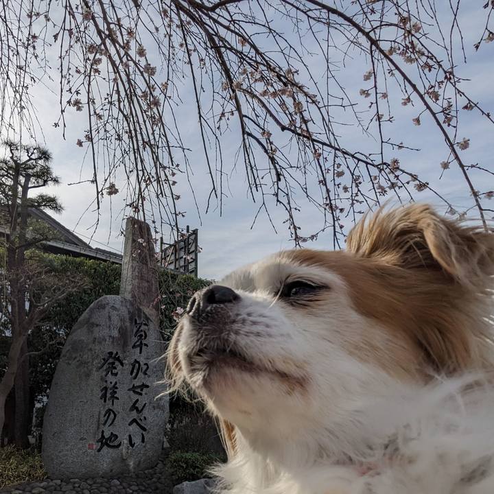 7b02bcb0 a897 4b8d 88e3 bb744a79e9cb 1678951007628