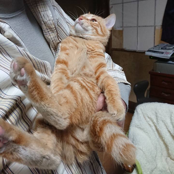 7b02db89 720b 4b38 9b63 191fa00e08ea 1637234208715