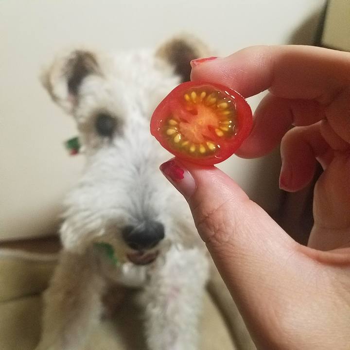 7b02ff28 44f9 419e 8c84 3d9b1aee4805 1598182565288