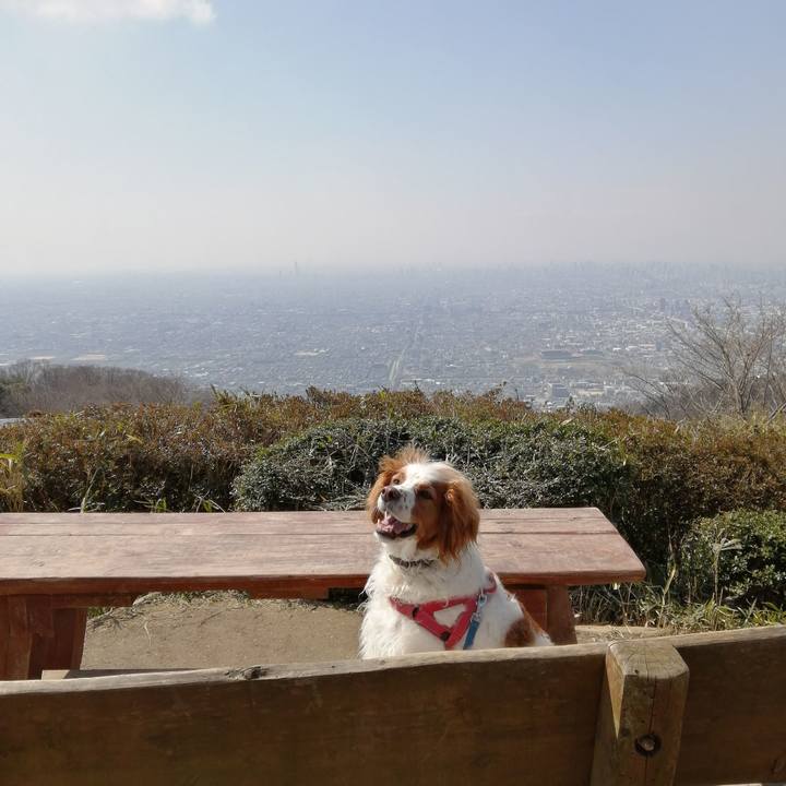 7b030741 1b81 4bde 8940 175e18bd6d17 1584522485149