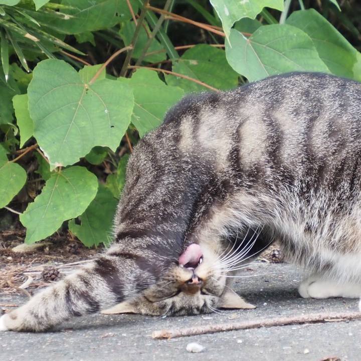 7b031ea4 d973 4e84 8451 d548d28a1b44 1600762956493