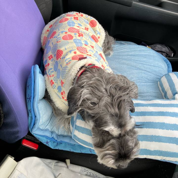 7b0333d1 590e 4612 8a91 dad5000a89a2 1734617883788