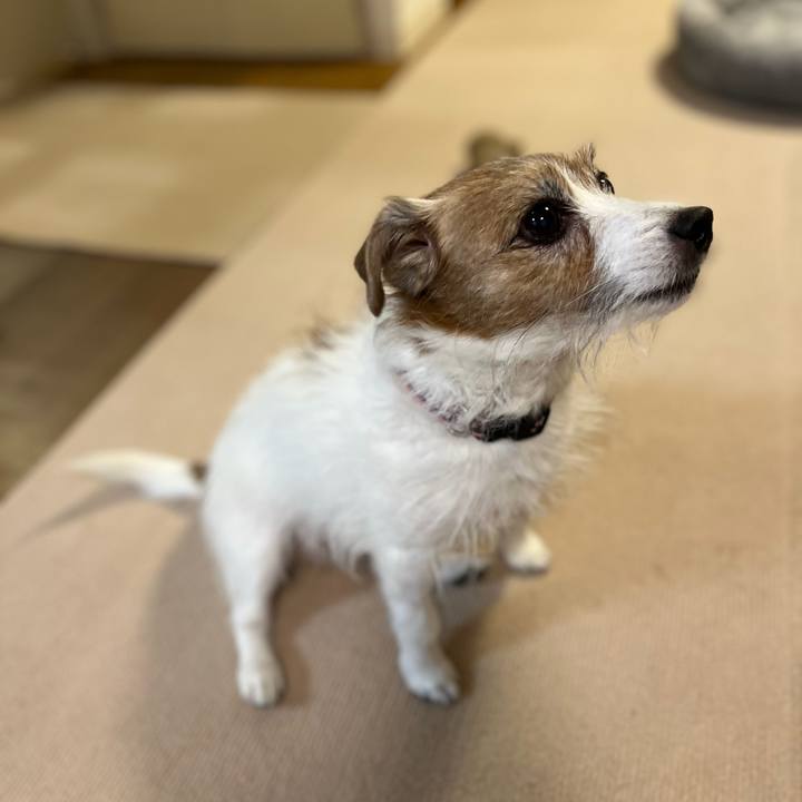 7b0359a9 b2d1 4c0f b811 eb2ad8a150e8 1708778932367