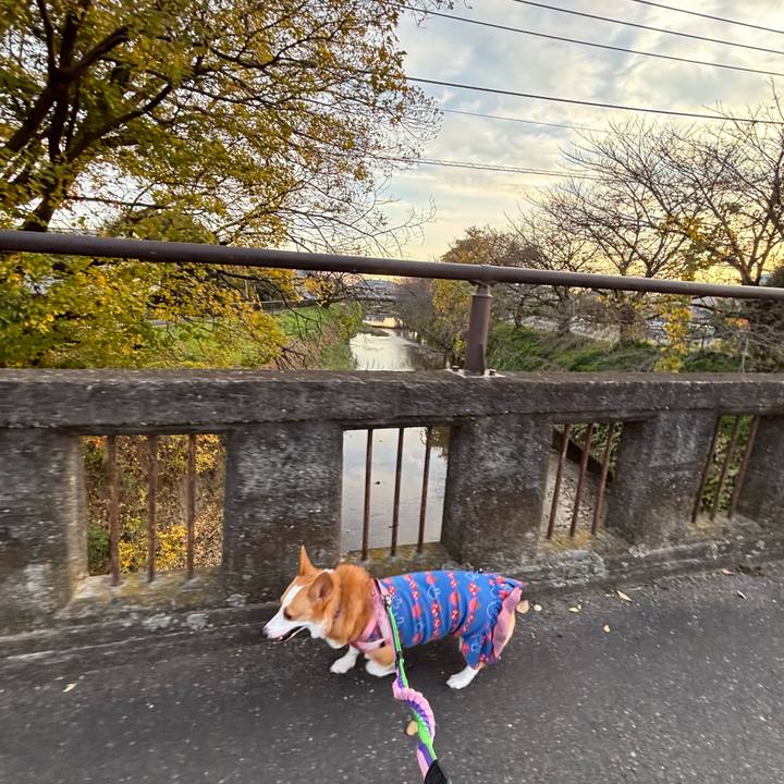 7b035e2d b642 4bc7 9c59 d71a4ced0ff7 1763895762735