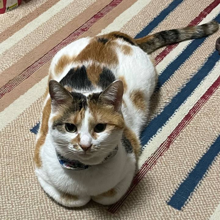 7b038635 b2e1 4770 9710 b9516d035566 1727790203427