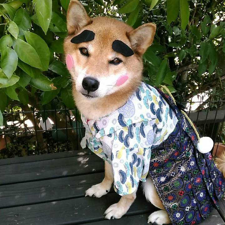 7b03d886 c7a3 4cea a841 2040509e1adb 1536714909807