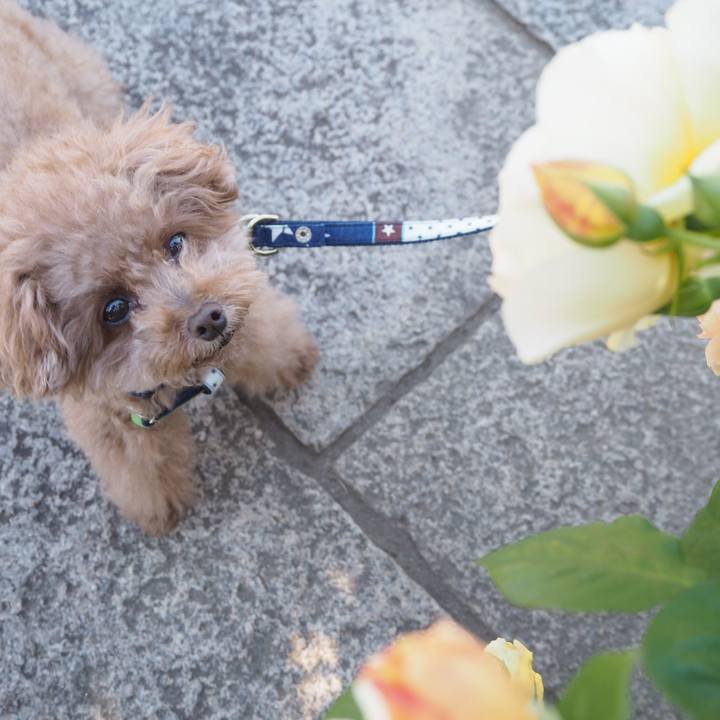 7b03f364 f038 4c0e 8f8f 969146b779c4 1525613124954