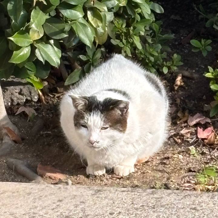 7b03f91f dafc 4ea6 98db c5bffcabeaa9 1765943552832