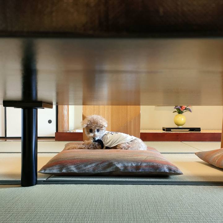 7b0416f0 f256 409d 8208 79f389eab2dc 1680332360841