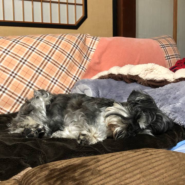 7b0417af e78a 4959 9fd0 2cc5fece0908 1618844609555