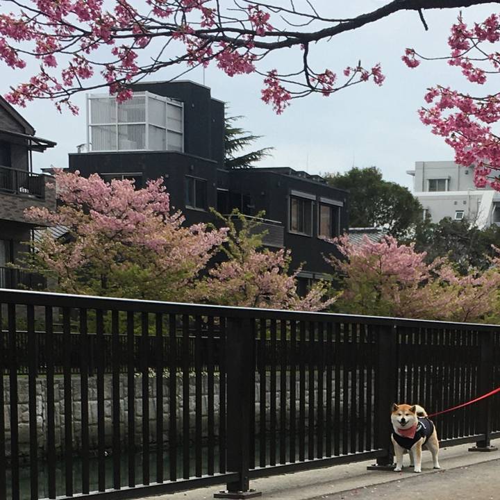 7b043928 c456 4a35 9804 3f40b4c8faf5 1583563245385