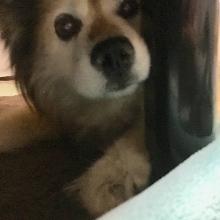 7b043fa6 78b7 4be4 950b d6a119864f21 1607083766402