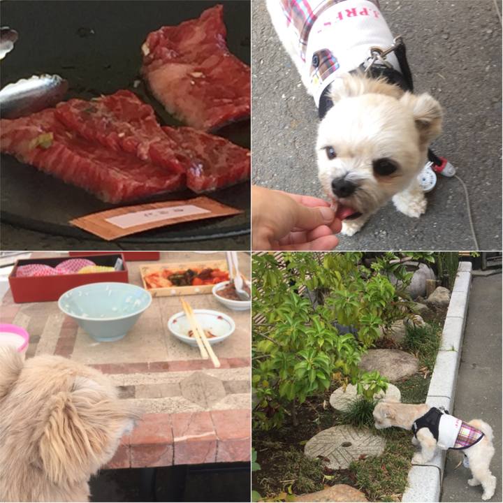 7b04431f 35df 4b62 a814 a0d1dc1cc111 1532848291562