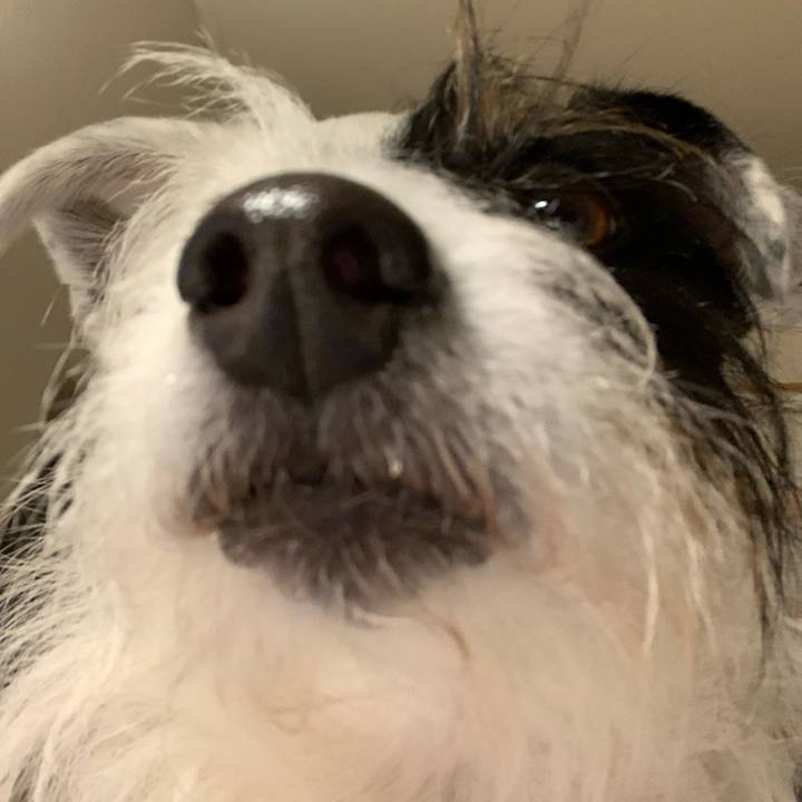 7b045a0b 80e1 45c9 9cdb 89c17cf26f5b 1641983869669