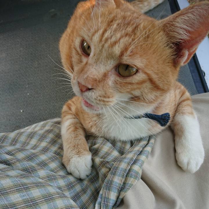 7b047c87 2353 4254 92f7 48e1d06844e9 1564905763745