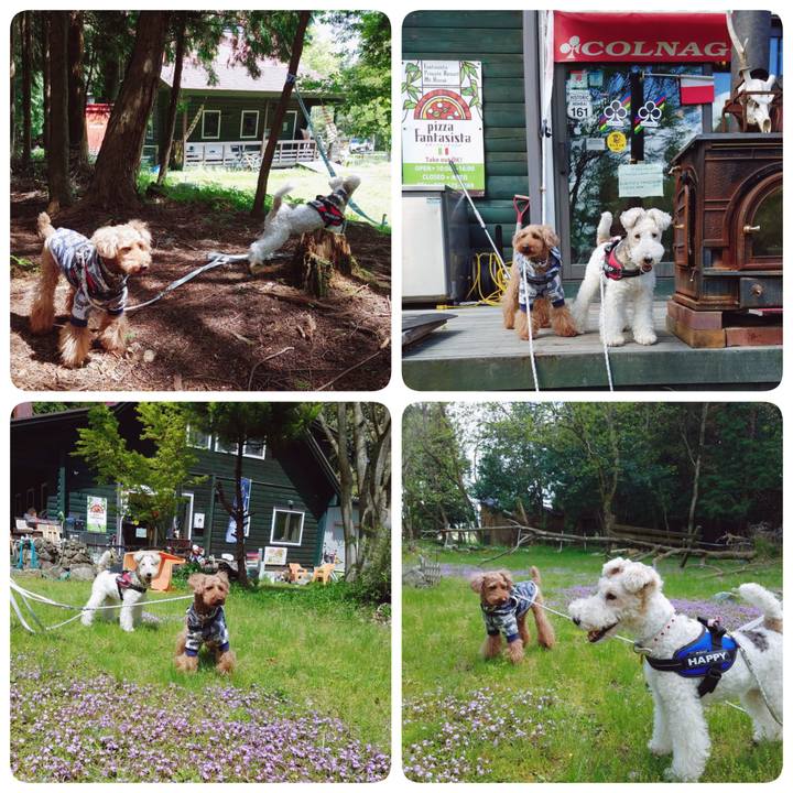 7b04950c f7b0 4c68 a593 43d18d35d411 1556363225112