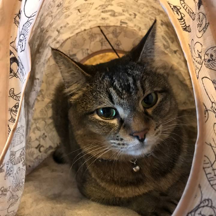 7b04b057 5d8a 4c7b 9024 d5f329d2598f 1562799989589