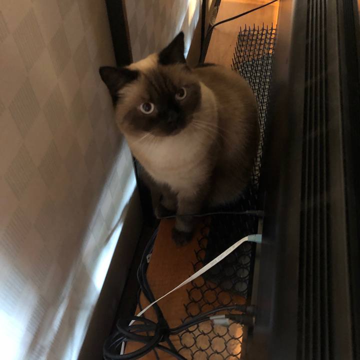 7b04ba09 f4b6 4f78 b124 426b7ca38f5a 1632096499399