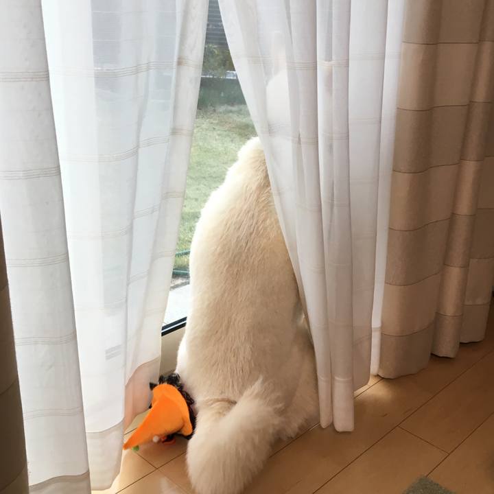 7b04d016 f5b3 4680 a5b6 6b29ef0e5705 1541037596422