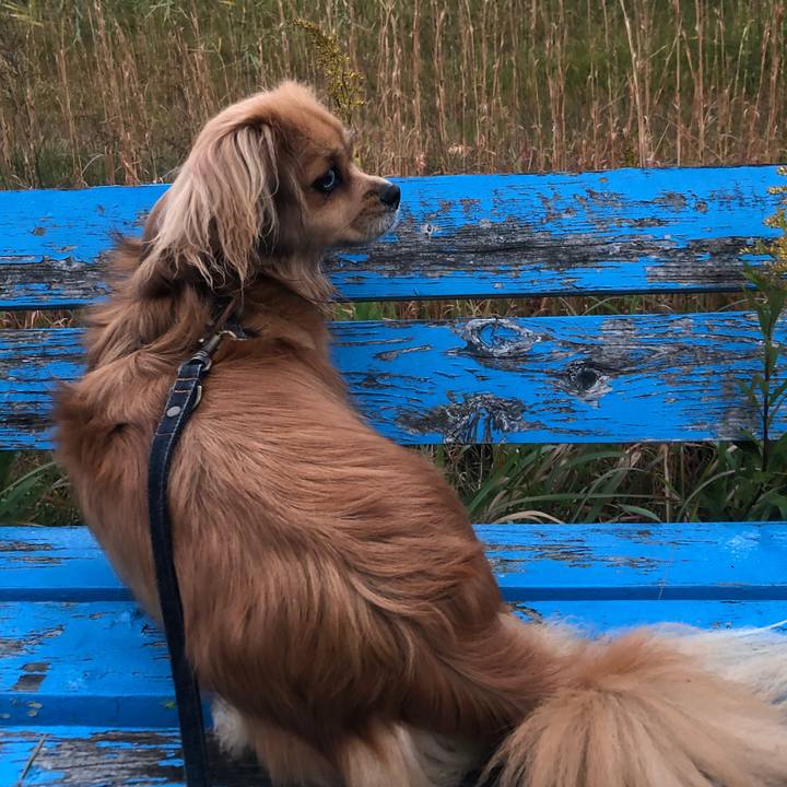 7b04ecad f61c 4ed8 bcae b70cd05466a5 1542144896968