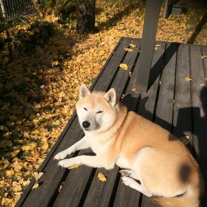 7b04f1a2 208b 4830 af9a 8e8a354dc1dd 1604499821721