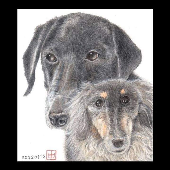 7b04f806 19b5 4be3 bfbb c718b8edd086 1642312512863