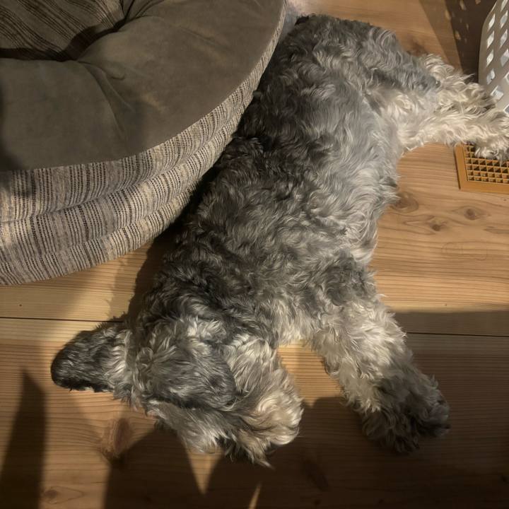 7b04fd73 6e1a 4d82 a43a 4e0d69006d31 1717762287095