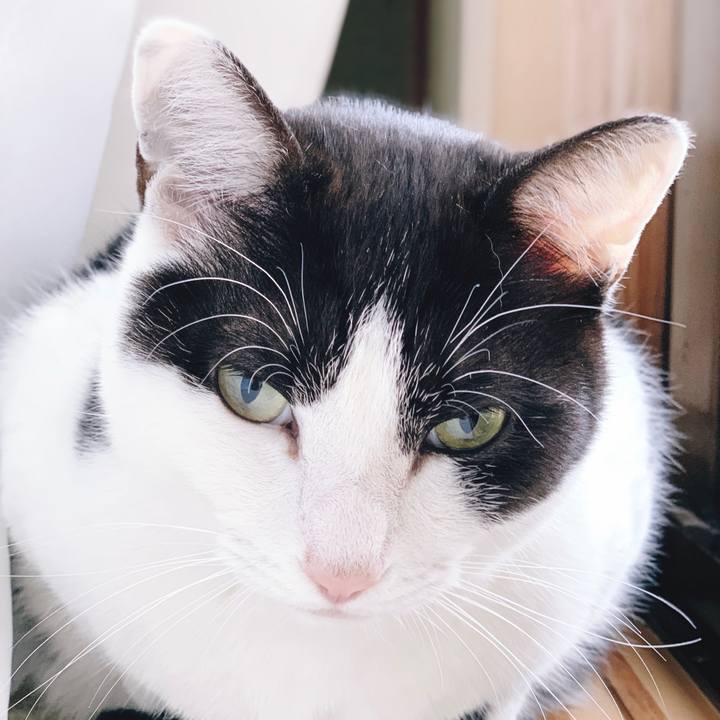 7b053dd4 92f4 443a 9fc4 28a5447523d7 1556417230747