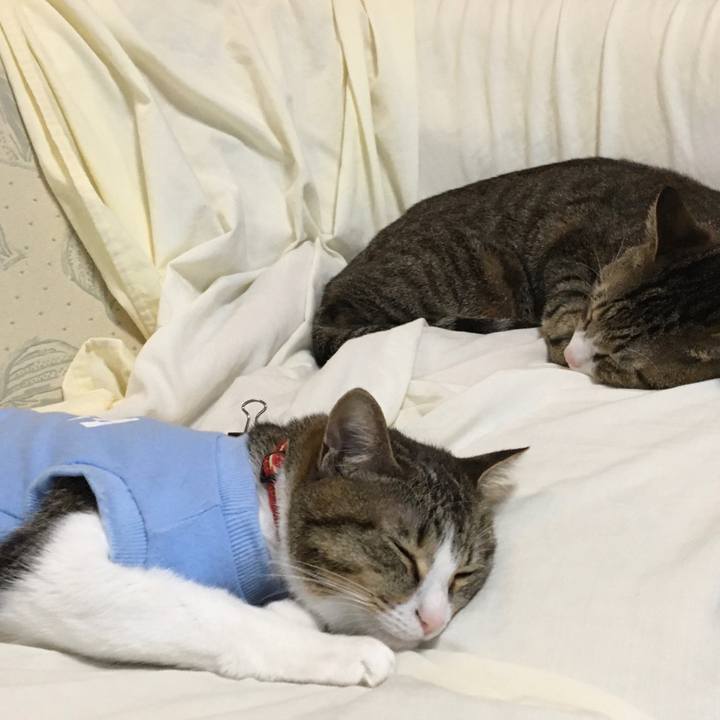 7b0556e1 38f9 4dcc ae7d 0ad14d4e0da4 1677710494181