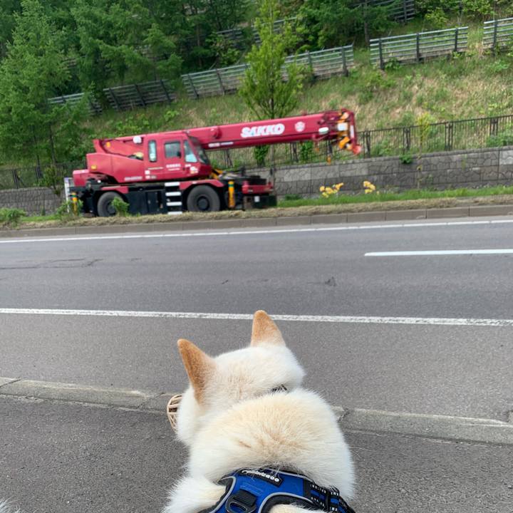 7b0557c4 c312 4bdd 9250 c1daf157bbe2 1622668847728