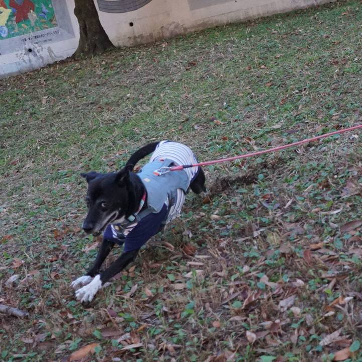 7b05774d c82b 4e7e a600 d2ec932fa7bb 1764807551578