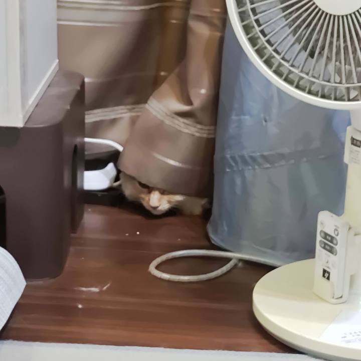 7b0579de 854d 4502 9aae 50fd16b83f48 1724159042632